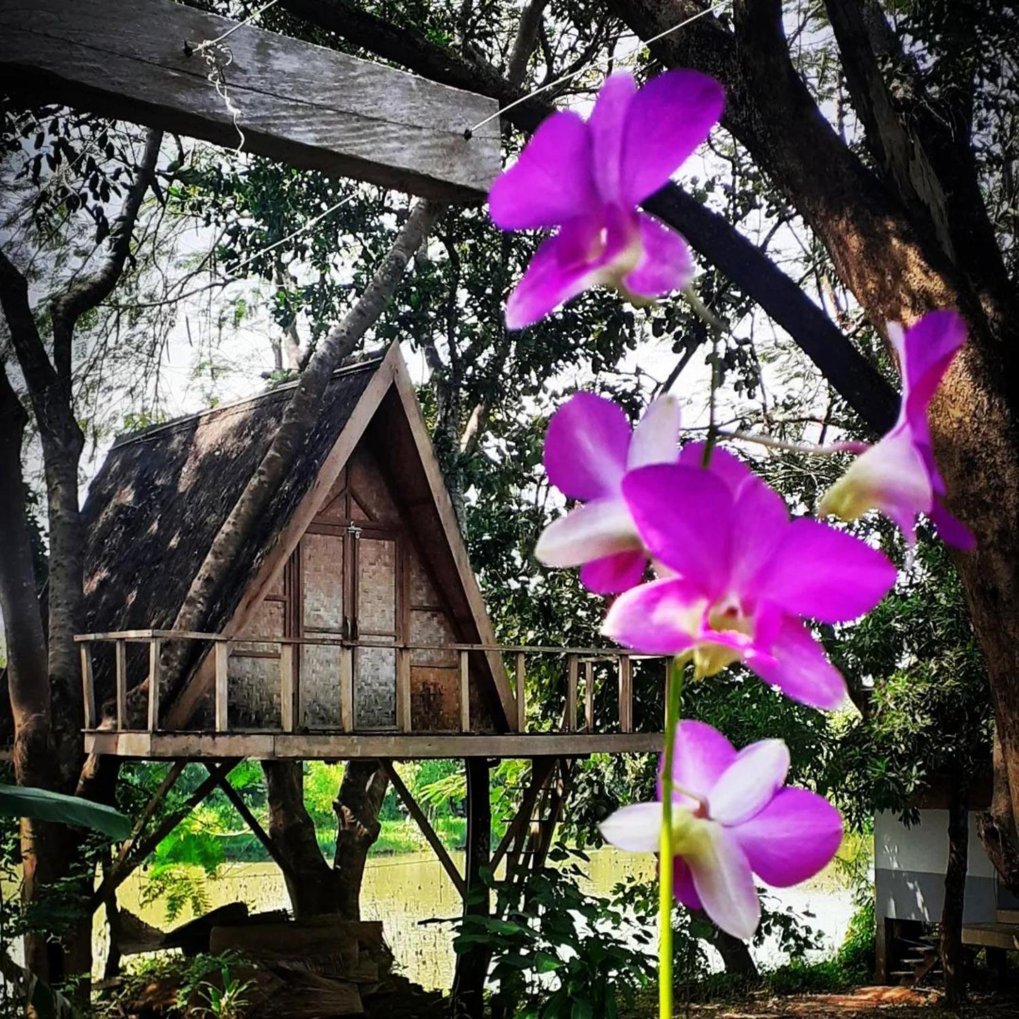 Fandee Island Treehouses & Ziplines - Tad Lo, Bolaven Loop Pakse Ban Kiangtat Zewnętrze zdjęcie